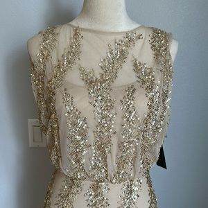 GORGEOUS NWT Gown- Aidan Mattox